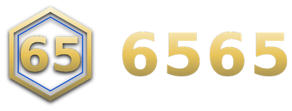 6565 logo